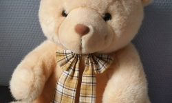 Featured image of post Douglas